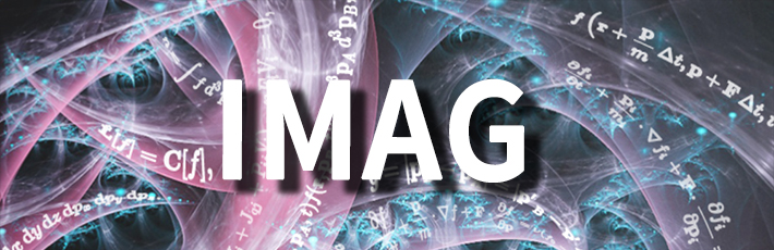 Interagency Modeling and Analysis Group (IMAG) | National Institute of ...
